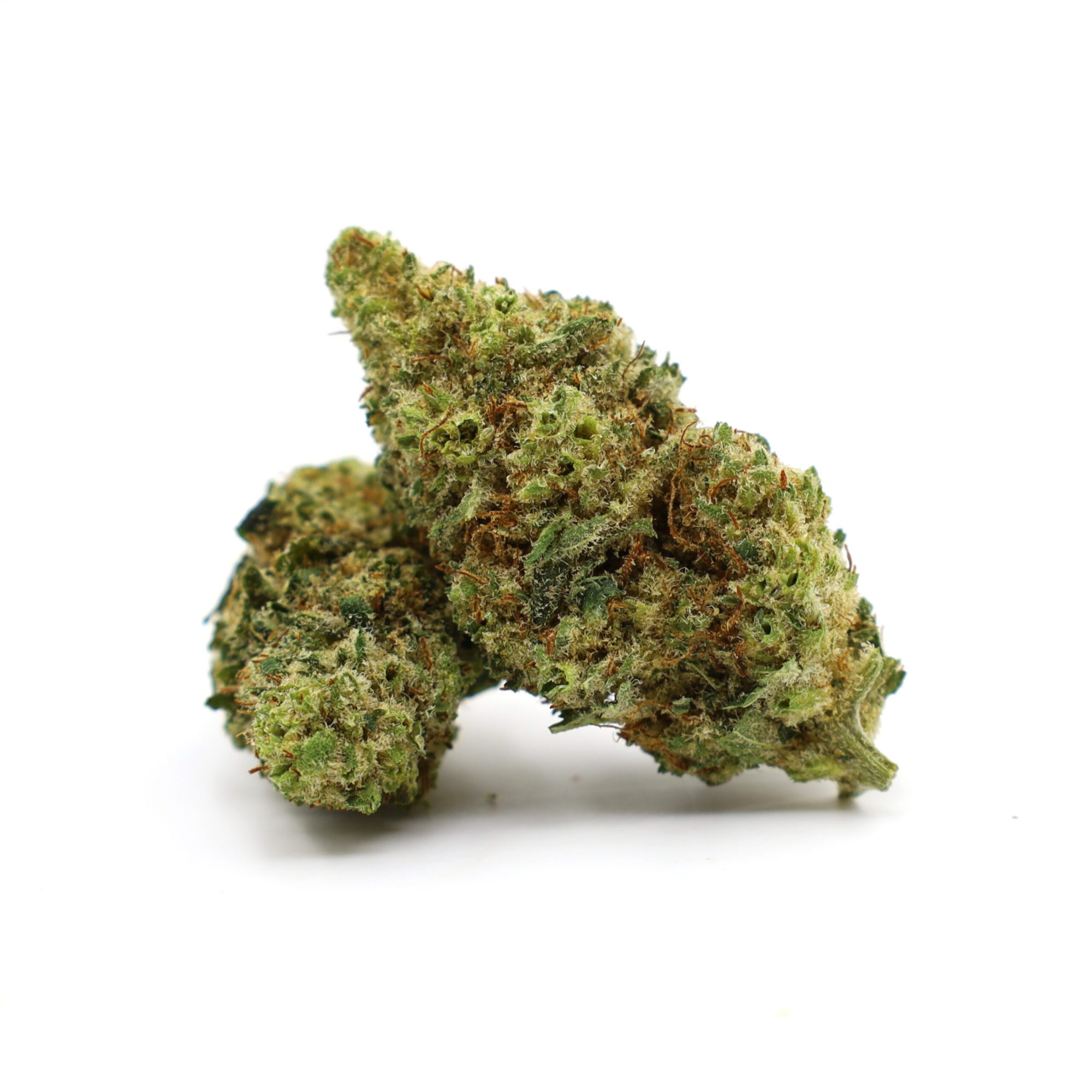 bluedream_WHITE